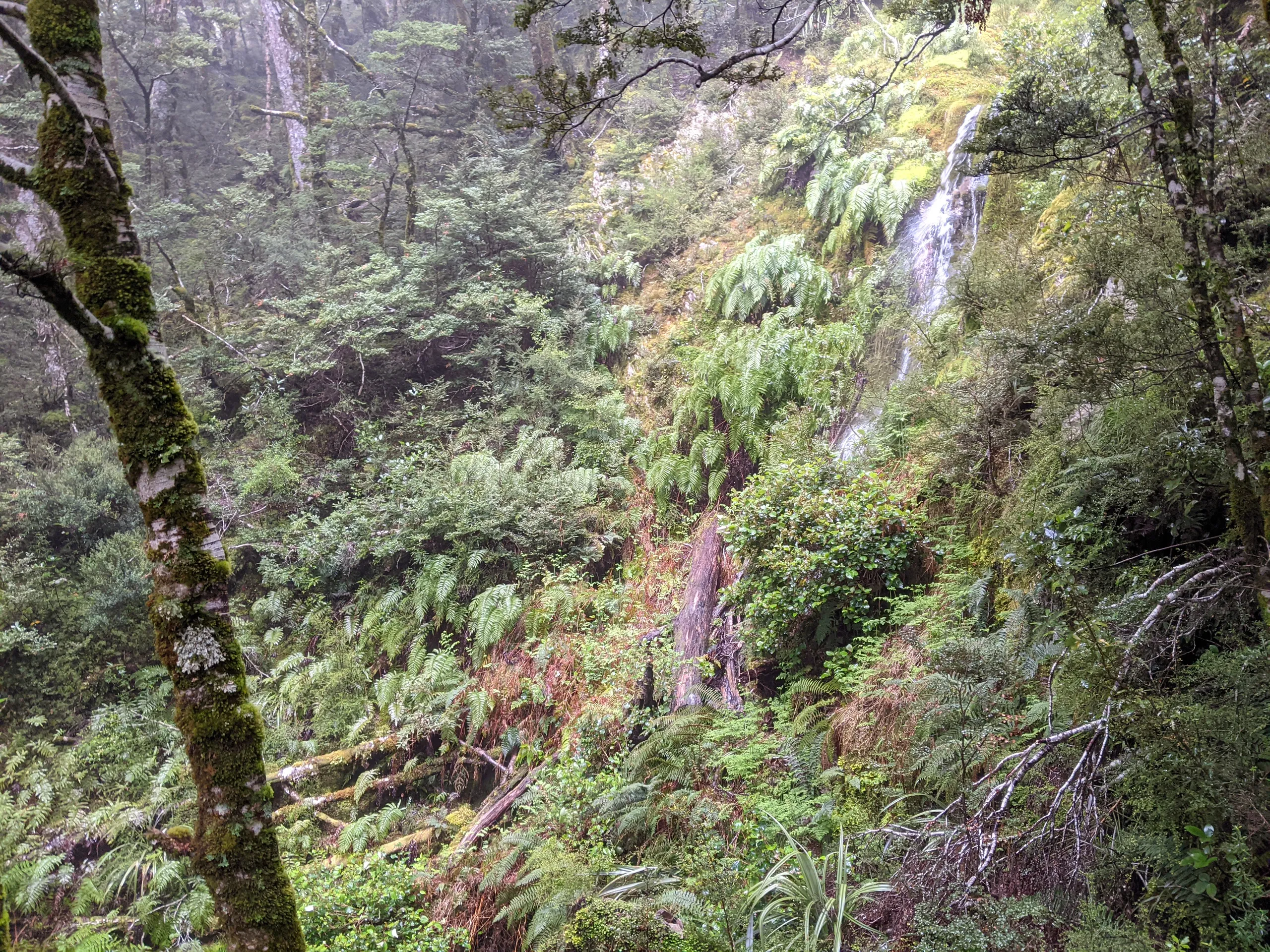 Beautiful waterfall near Iris Burn Hut